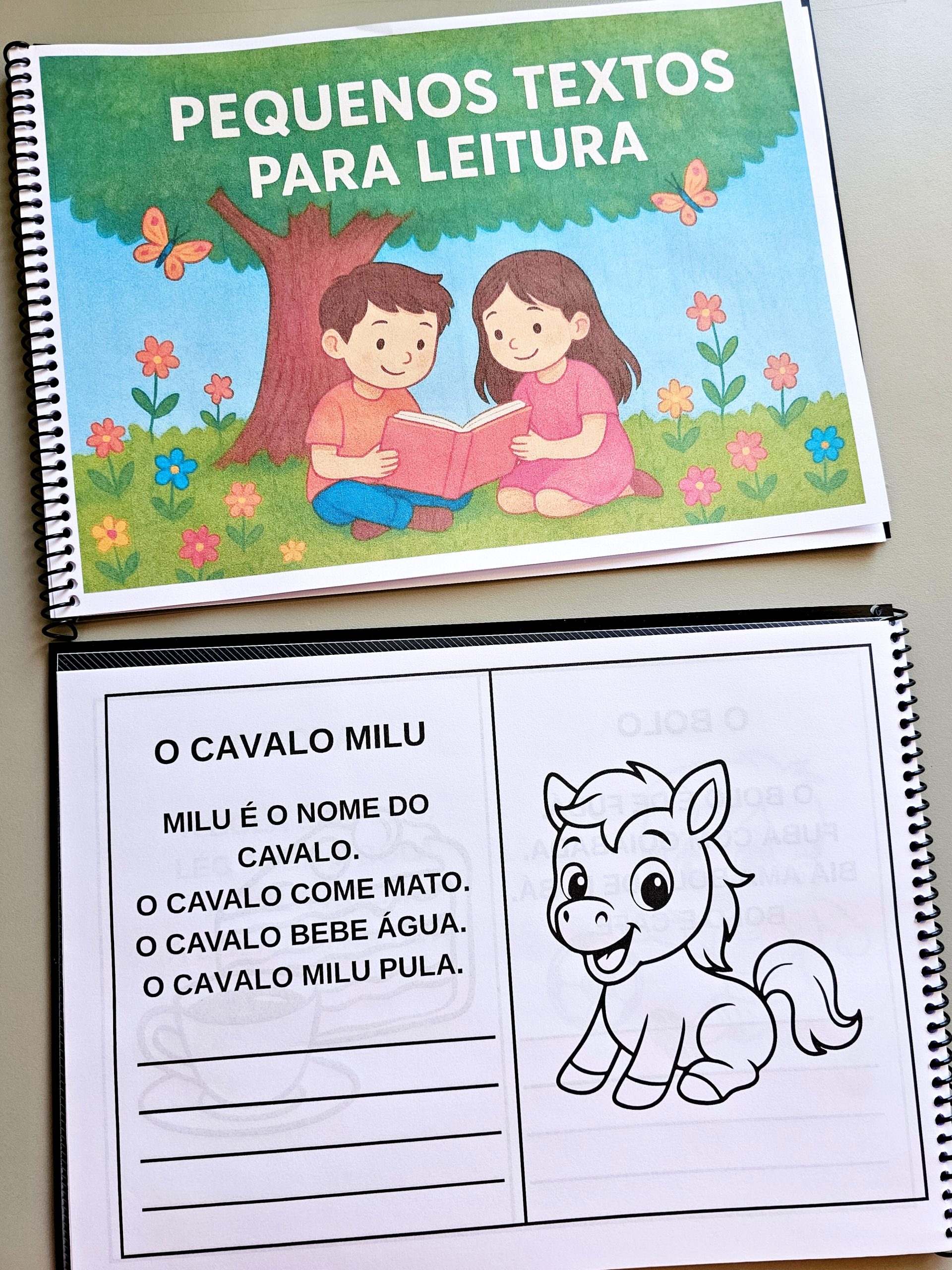 Livrinho de Leitura com Sílabas Simples